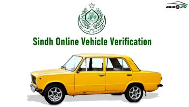 MTMIS Sindh Vehicle Verification 2023